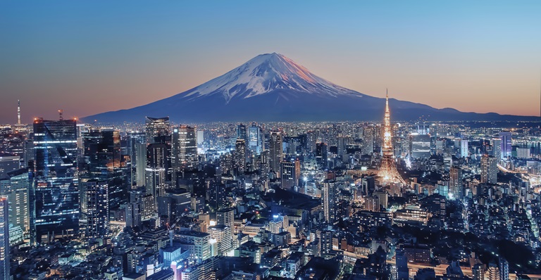 Tokyo skyline illuminated at night.
