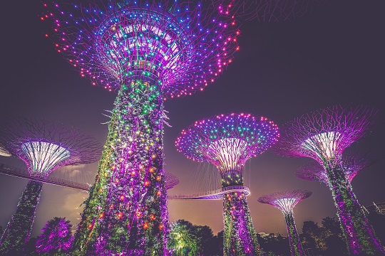 Towering tree sculptures in Garden by the Bay in Singapore