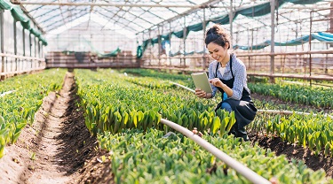 Woman in greenhouse with tablet