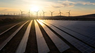 Rangées de panneaux solaires avec des éoliennes en arrière-plan au coucher du soleil.