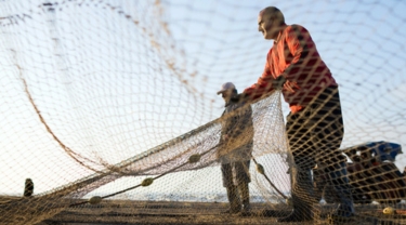 Deux personnes manipulent un filet de pêche muni de flotteurs près de l'eau par une journée ensoleillée.