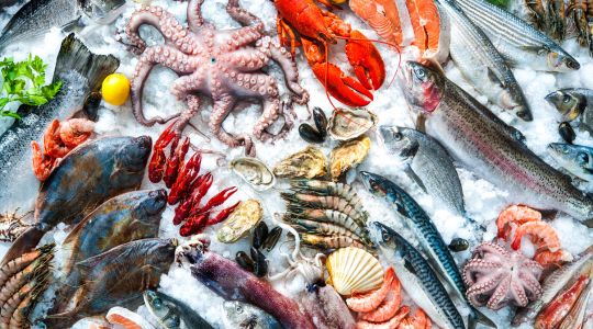An assortment of seafood, including fish, octopus, squid, lobster, oysters, shrimp and crawfish, displayed on ice.