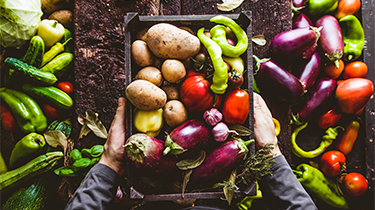 Hands holding a box of brightly coloured vegetables