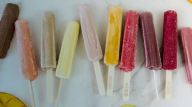 Organic frozen treat business DeeBee’s Organics Inc.