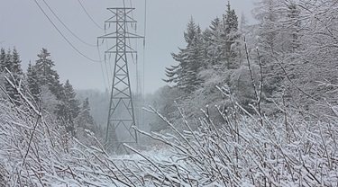 Image of transmission towers in the wintertime.