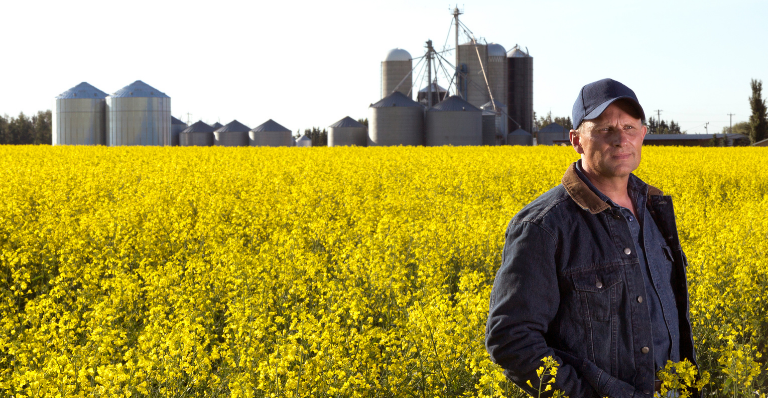 Agriculteur dans un champ de canola face à l’incertitude en raison des nouveaux tarifs américains et des droits chinois sur les exportations canadiennes.