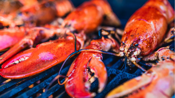 A picture of a lobster