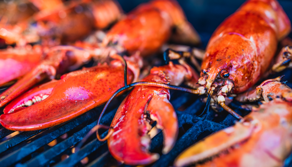 A picture of a lobster