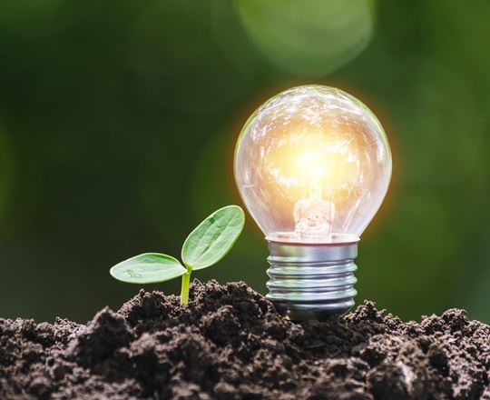 Lighbulb and green sprout coming out of the dirt.