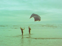 Young boys testing a kite