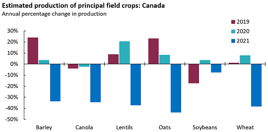 Graph shows outlook for agriculture exports