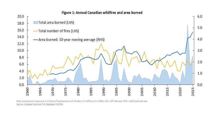 Annual area burned by wildfires in Canada from 1989 to 2024