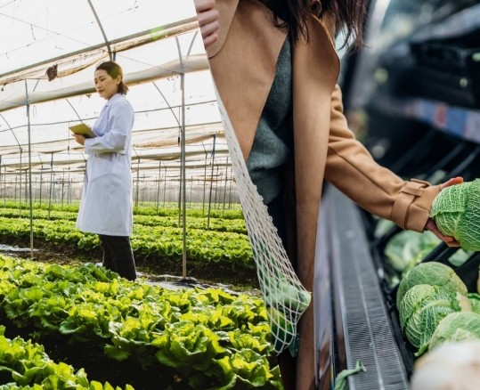 Image composite d'une agronome utilisant une tablette numérique dans une serre (à gauche) et d'une femme achetant des fruits et légumes biologiques frais dans un supermarché (à droite).