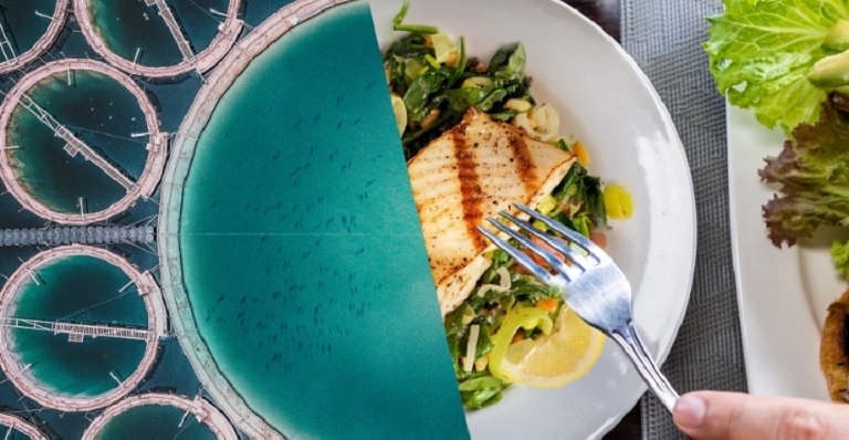 Split-screen image of an aerial shot of a fish farm (left) and an aerial shot of a fish on a plate (right). 