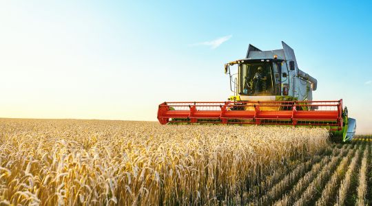 A combine harvester harvesting ripe wheat.