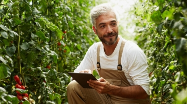 Worker using digital tablet in greenhouse