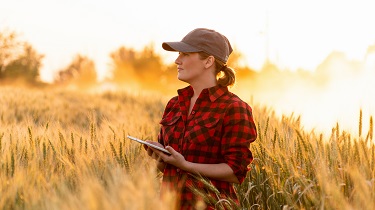 female farmer with tablet in wheat field
