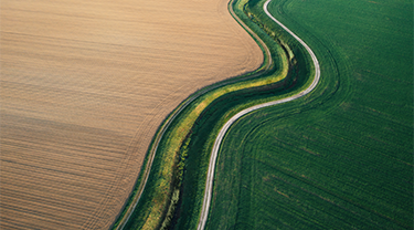 Landscape showing use of erosion and sediment control