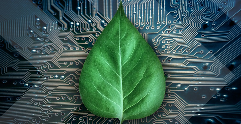 Bright green leaf rests on circuit board