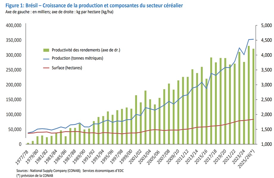 Graphique linéaire montrant la tendance des exportations agricoles brésiliennes au cours des dernières années