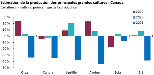 Le graphique montre les perspectives des exportations agricoles