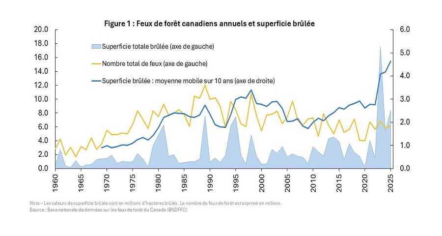 Superficie annuelle brûlée par les feux de forêt au Canada de 1989 à 2024.