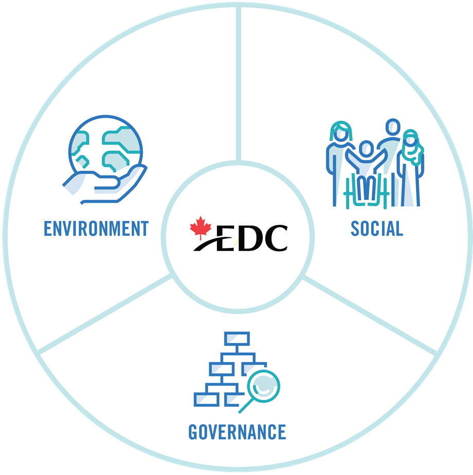 Image of a wheel with 3 core sections for environment, social and governance connected to the UN sustainable development goals of high priority to EDC.